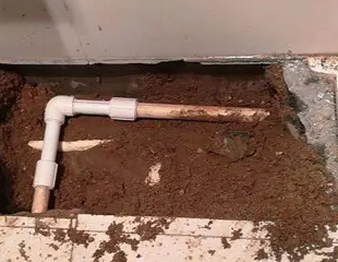 鄂城测漏水哪家好