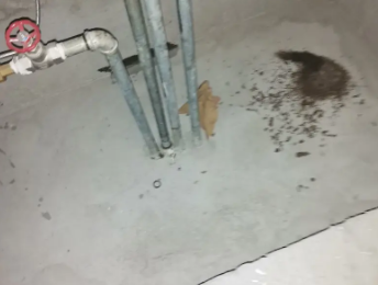 鄂城卫生间测漏水价格明细