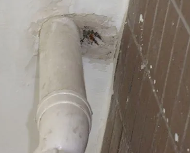 鄂城漏水检测哪家好